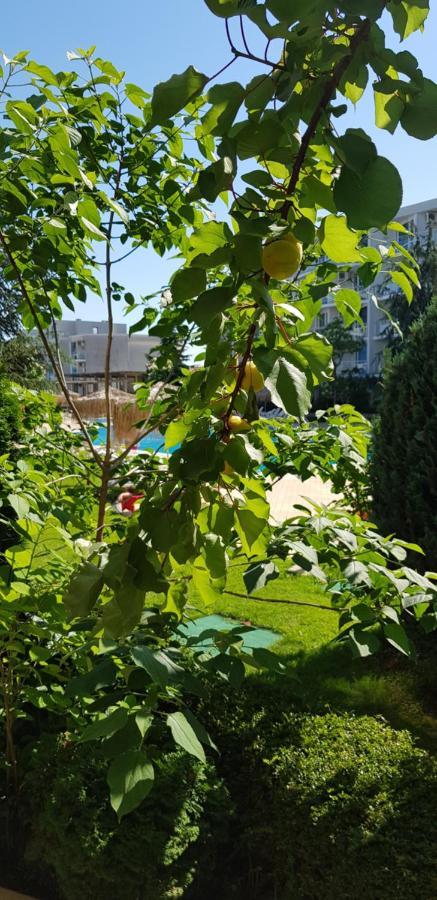 Apartment With Green Terrace Burgas Esterno foto